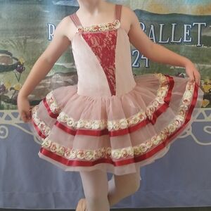 Revolution Dancewear Costume, Child Medium, Worn Once